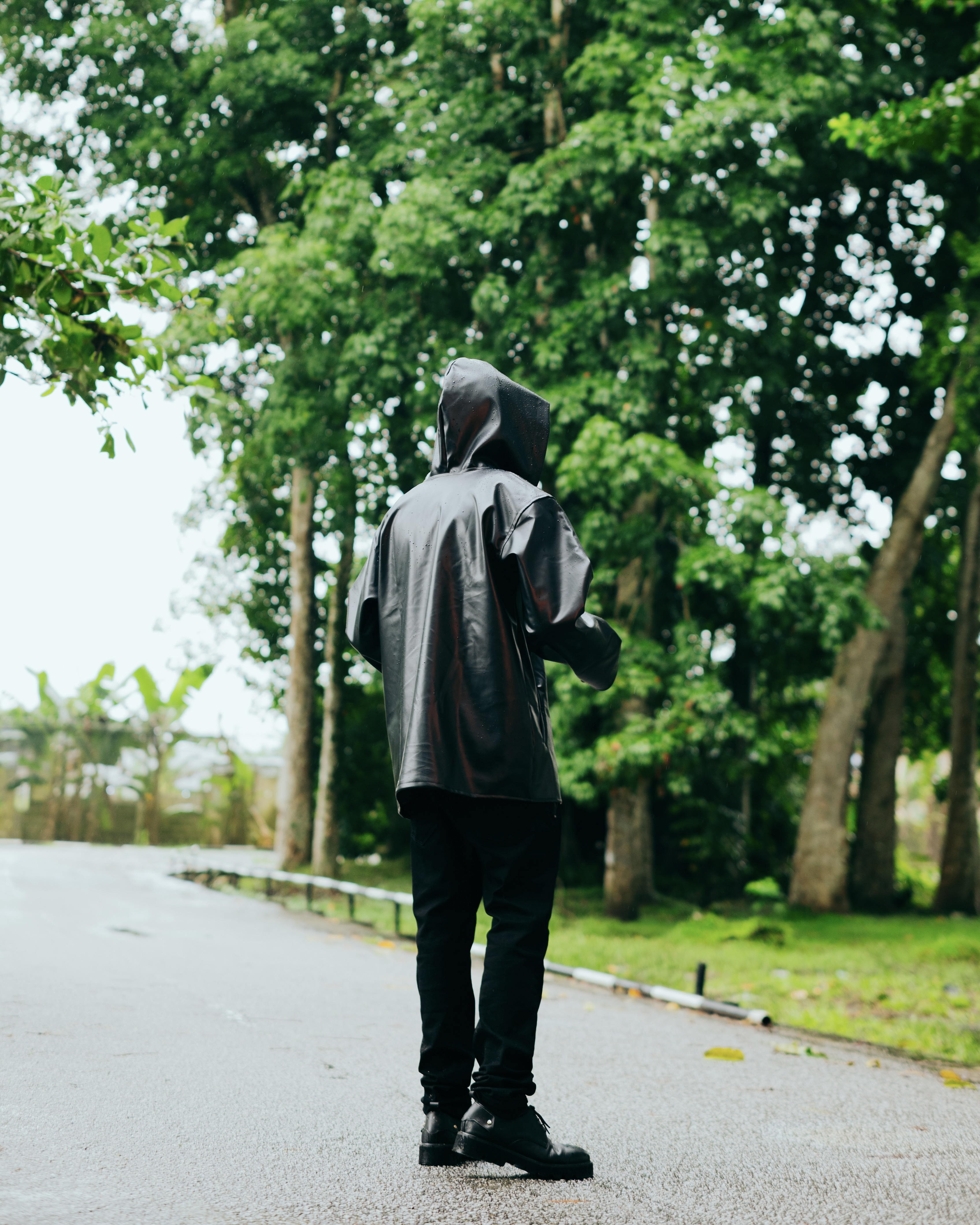 PaidLife – walking a tree-lined road in the rain
